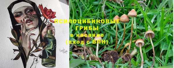 mdma Снежногорск
