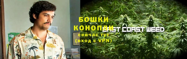 меф Снежинск