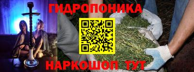 ECSTASY Кингисепп