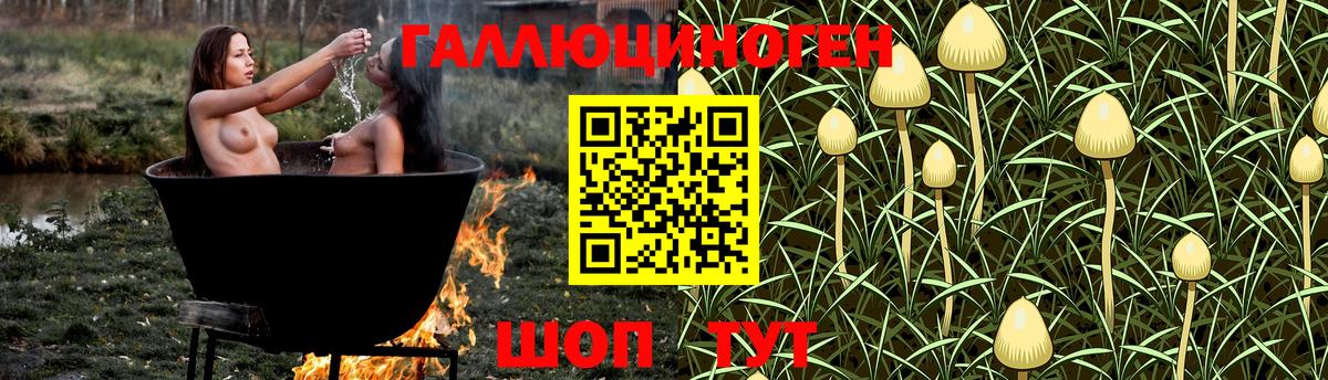 Галлюциногенные грибы мицелий  Урюпинск 