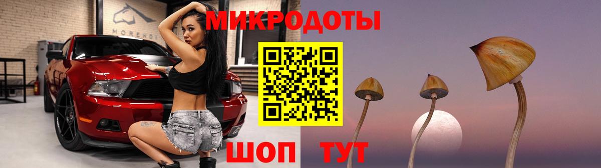 Псилоцибиновые грибы Cubensis Урюпинск